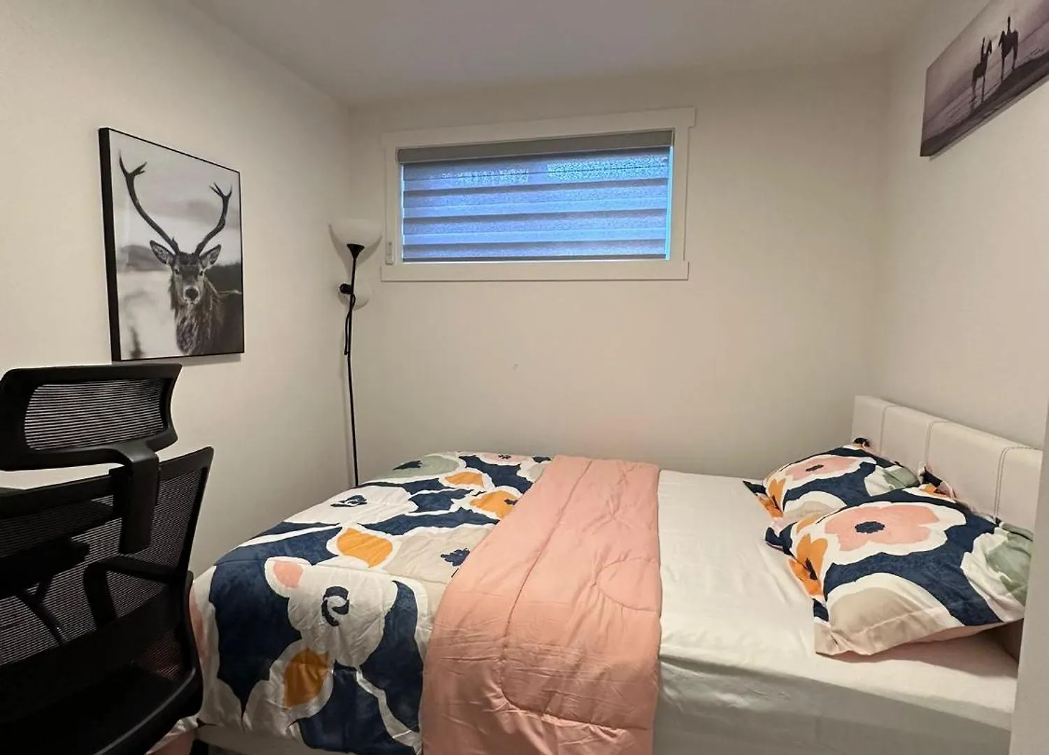 Brand New 1 Bedroom Basement Suite. Wi-Fi,Netflix Edmonton